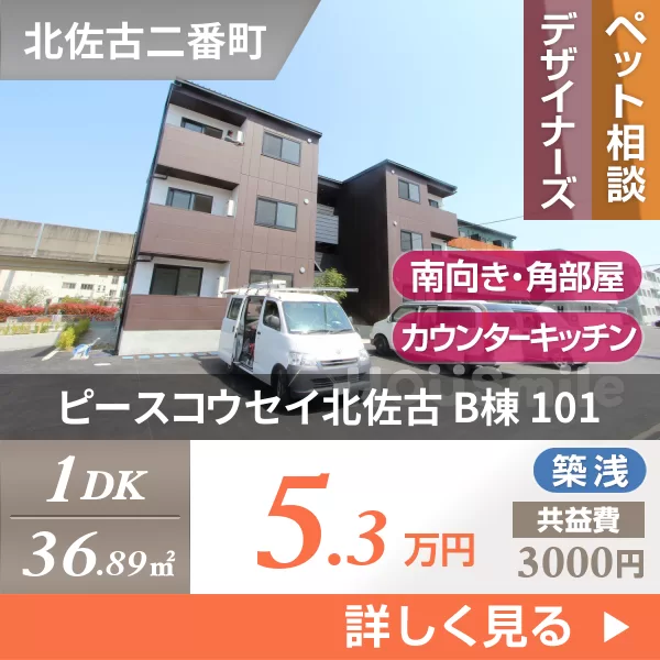 ピースコウセイ北佐古 B棟 101