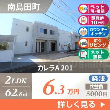 カレラA 201