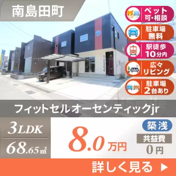 フィットセルオーセンティックjr D