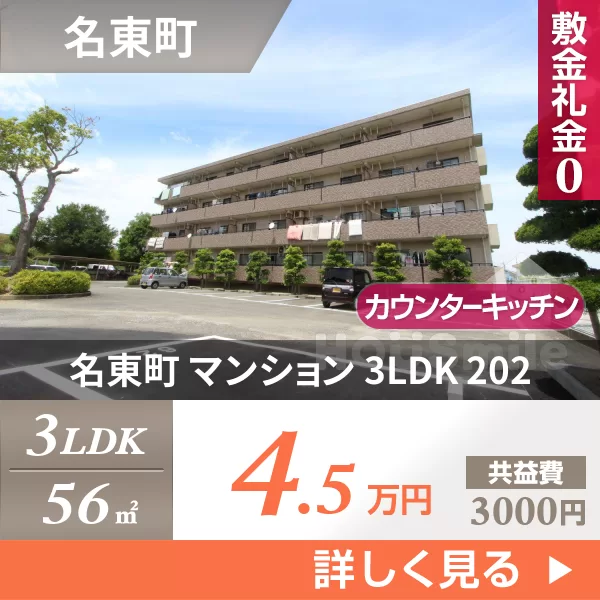 名東町 マンション 3LDK 202