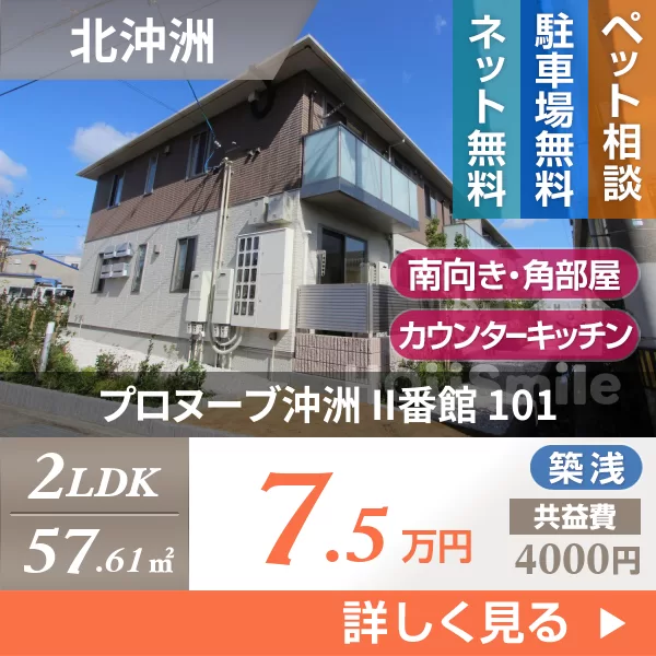 プロヌーブ沖洲 II番館 101