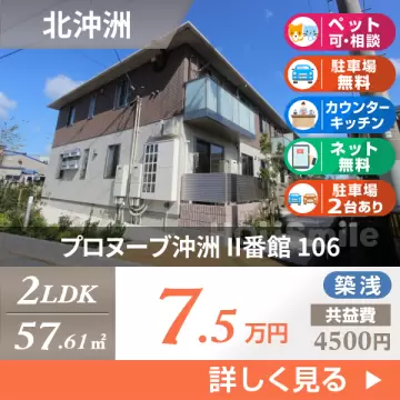 プロヌーブ沖洲 II番館 106