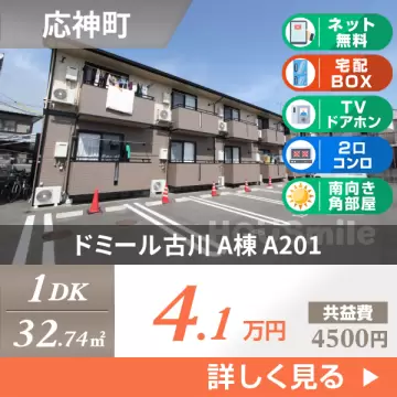 ドミール古川 A棟 A201