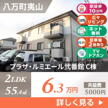 プラザ・ルミエール弐番館 C棟 202