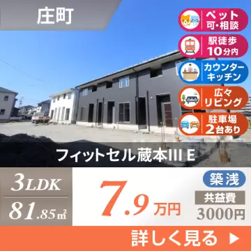 フィットセル蔵本III E