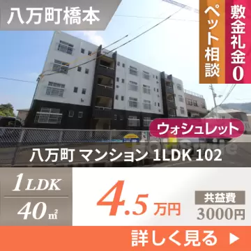 八万町 マンション 1LDK 102