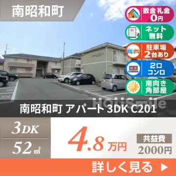 南昭和町 アパート 3DK C201