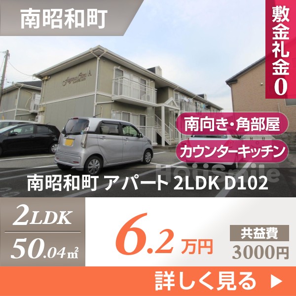 南昭和町 アパート 2LDK D102