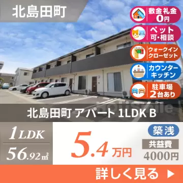 北島田町 アパート 1LDK B