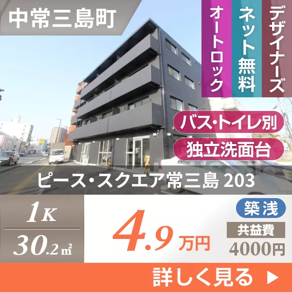 ピース・スクエア常三島 203
