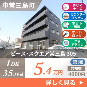 ピース・スクエア常三島 305