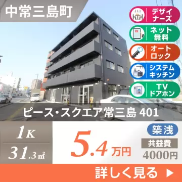 ピース・スクエア常三島 401