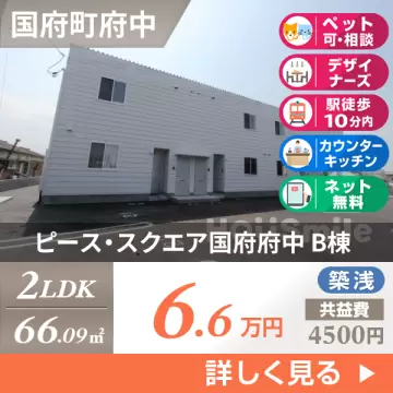 ピース・スクエア国府府中 B棟 201