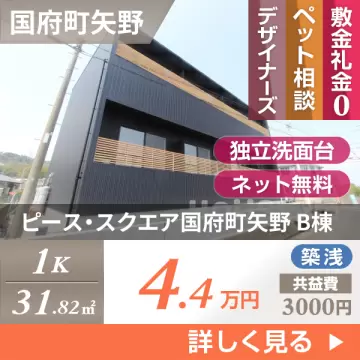 ピース・スクエア国府町矢野 B棟 102