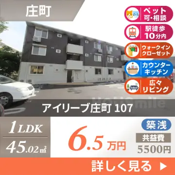 アイリーブ庄町 107