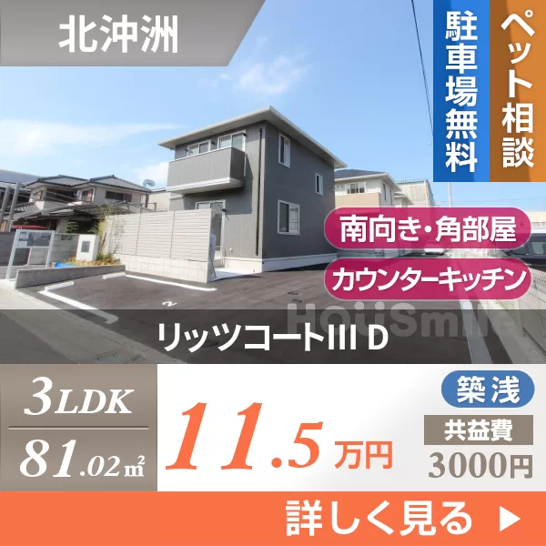 リッツコートIII D