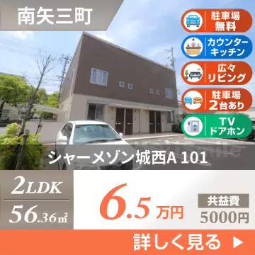 シャーメゾン城西A 101
