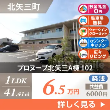 プロヌーブ北矢三A棟 102