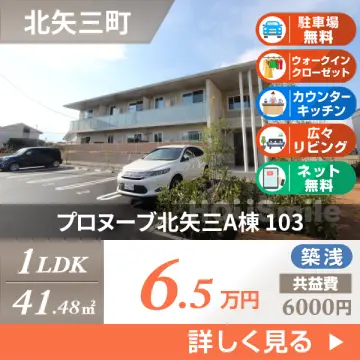 プロヌーブ北矢三A棟 103