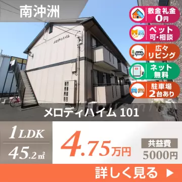 メロディハイム 101