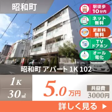 昭和町 アパート 1K 102