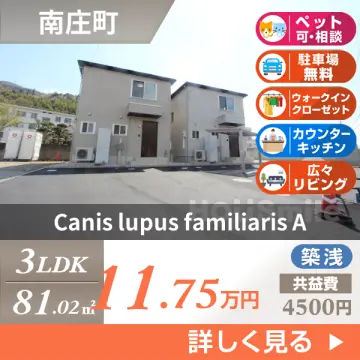 Canis lupus familiaris A