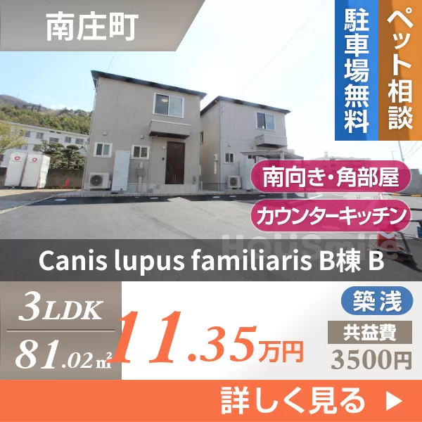 canislupus familiaris B