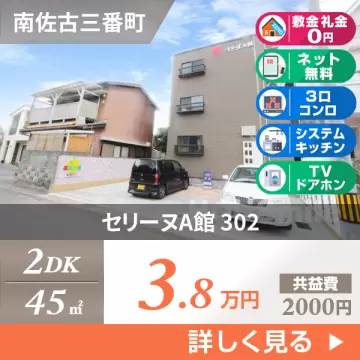 セリーヌA館 302