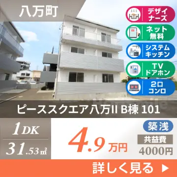 ピーススクエア八万II B棟 101