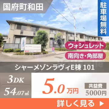 シャーメゾンラヴィE棟 101
