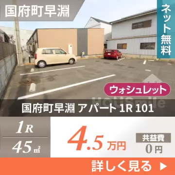 国府町早淵 アパート 1R 101