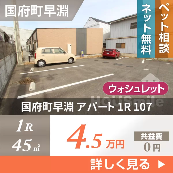 国府町早淵 アパート 1R 107