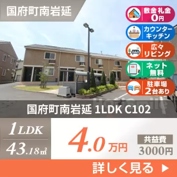 国府町南岩延 アパート 1LDK C102