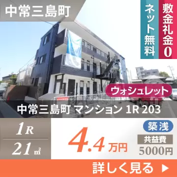 中常三島町 マンション 1R 203