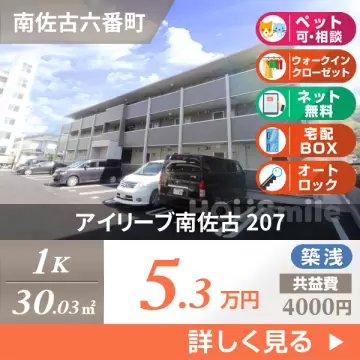 アイリーブ南佐古 207