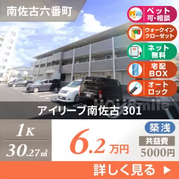 アイリーブ南佐古 301