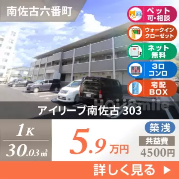 アイリーブ南佐古 303