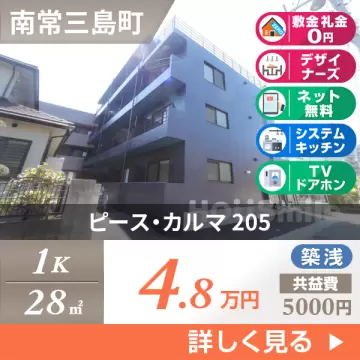 ピース・カルマ 205
