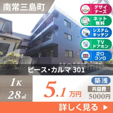 ピース・カルマ 301