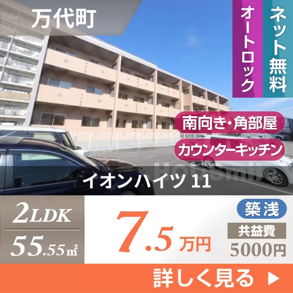 イオンハイツ 11