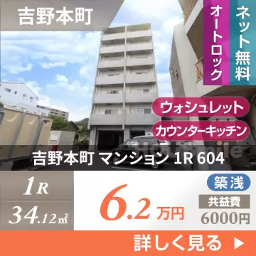 吉野本町 マンション 1R 604