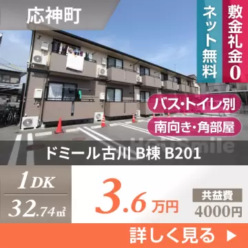ドミール古川 B棟 B201