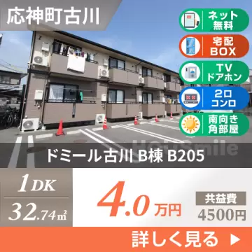 ドミール古川 B棟 B205