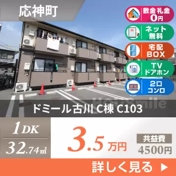 ドミール古川 C棟 C103