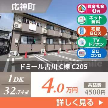 ドミール古川 C棟 C205