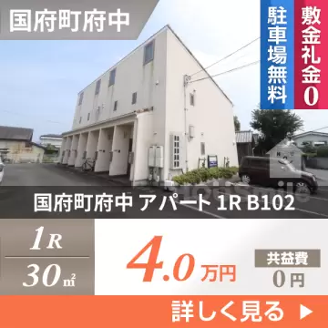 国府町府中 アパート 1R B102