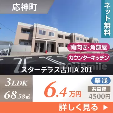 スターテラス古川A 201