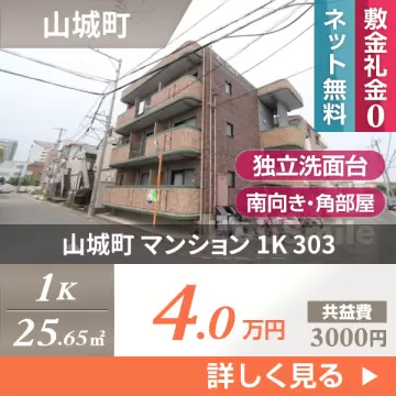 山城町 マンション 1K 303