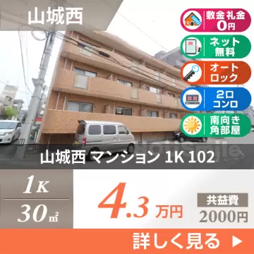 山城西 マンション 1K 102