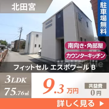 フィットセル エスポワール B